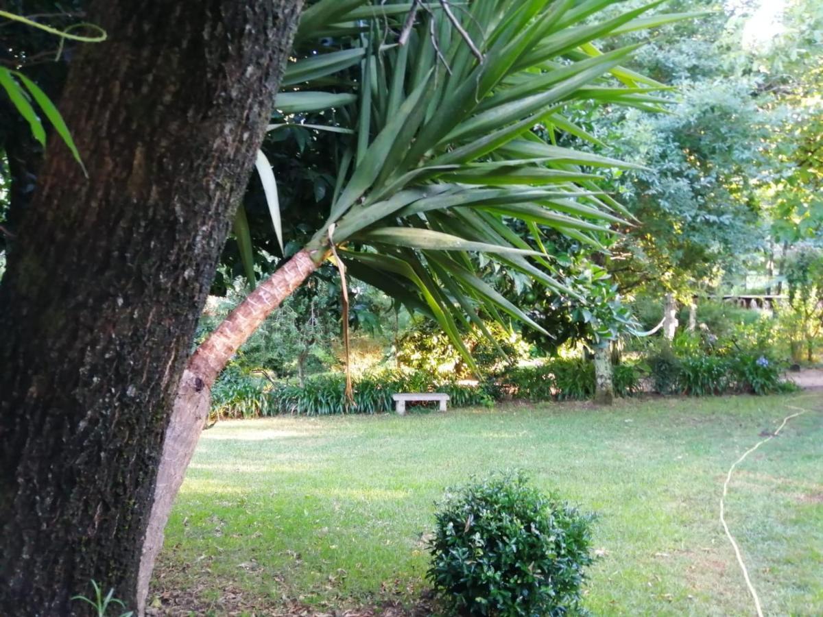 Casiña Os Lueiro Villa Portas Exterior foto